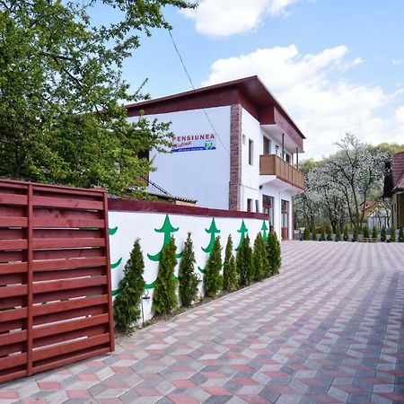 Pensiunea Cristina Viseu de Sus Exterior photo